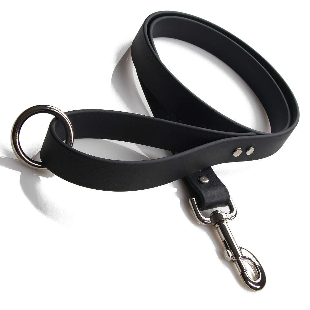 Leather snap hotsell dog collar