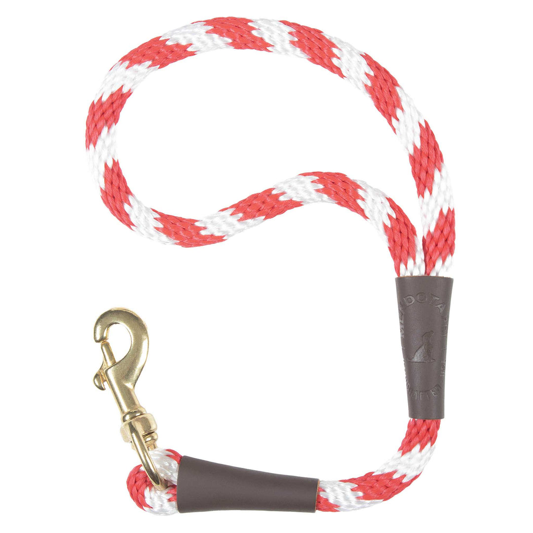 Holiday/Seasonal Fun Leashes