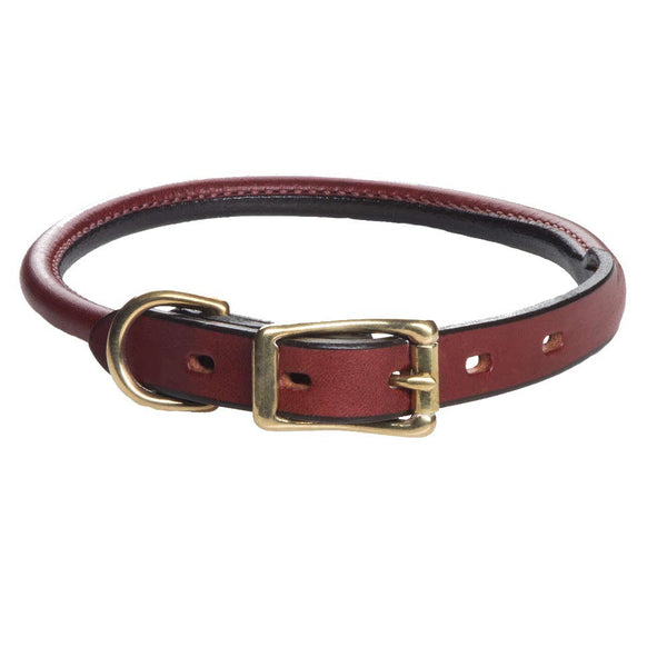 24 inch leather dog collar hotsell